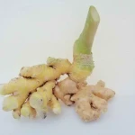 Gamongan: Tanaman Rimpang Bali dengan Segudang Manfaat Kesehatan