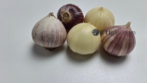 Khasiat Kesuna dalam Lontar Taru Pramana Solusi Alami Penyakit Beri-Beri hingga Sesak Napas