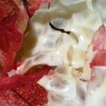 Khasiat Kulit Buah Delima untuk Diare Anak Berdasarkan Lontar