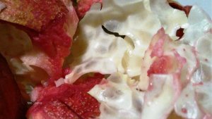 Dalam Usada Rare, kulit buah delima digunakan untuk mengobati anak diare. Efek antidiare kulit buah delima dibuktikan dengan melakukan uji pada infusa kulit buah delima aktif terhadap Salmonella typhimurium dengan konsentrasi hambat minimum 1,1 mg/ml pada dosis 800 mg/kg BB dan mengurangi diare pada dosis 400 dan 800 mg/kg BB (Ismawan, tt).