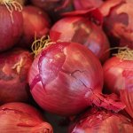 Gak Perlu Lagi ke Dokter, Rematik hingga Tuju Hilang dengan Campuran Beras dan Bawang Merah